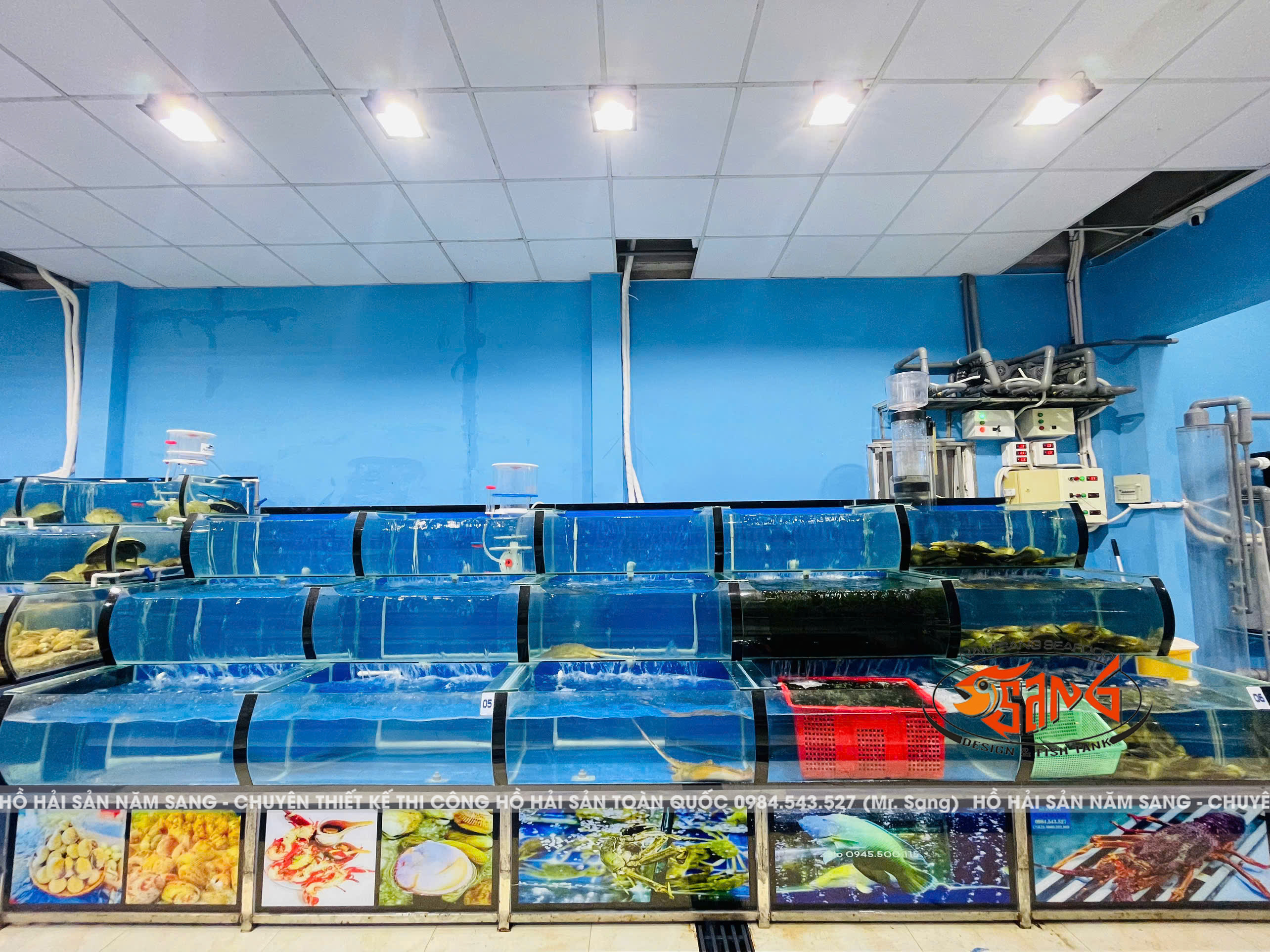 thi công hồ hải sản cho vựa hải sản