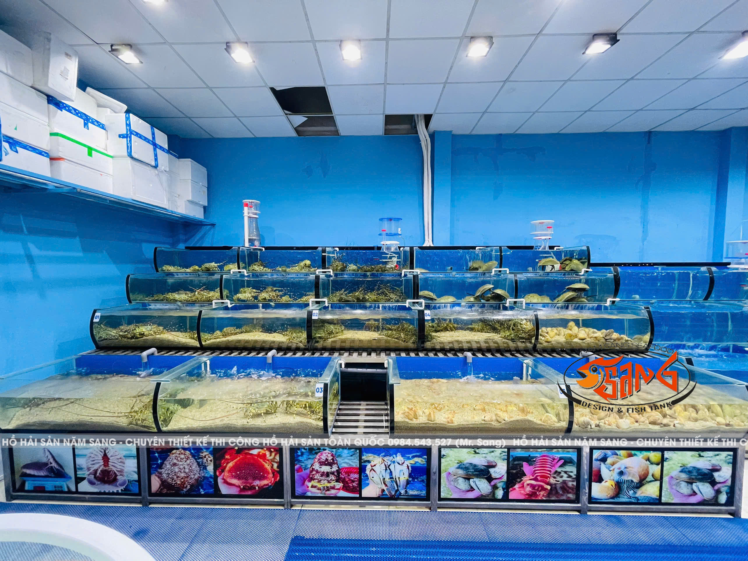 thiết kế bể hải sản