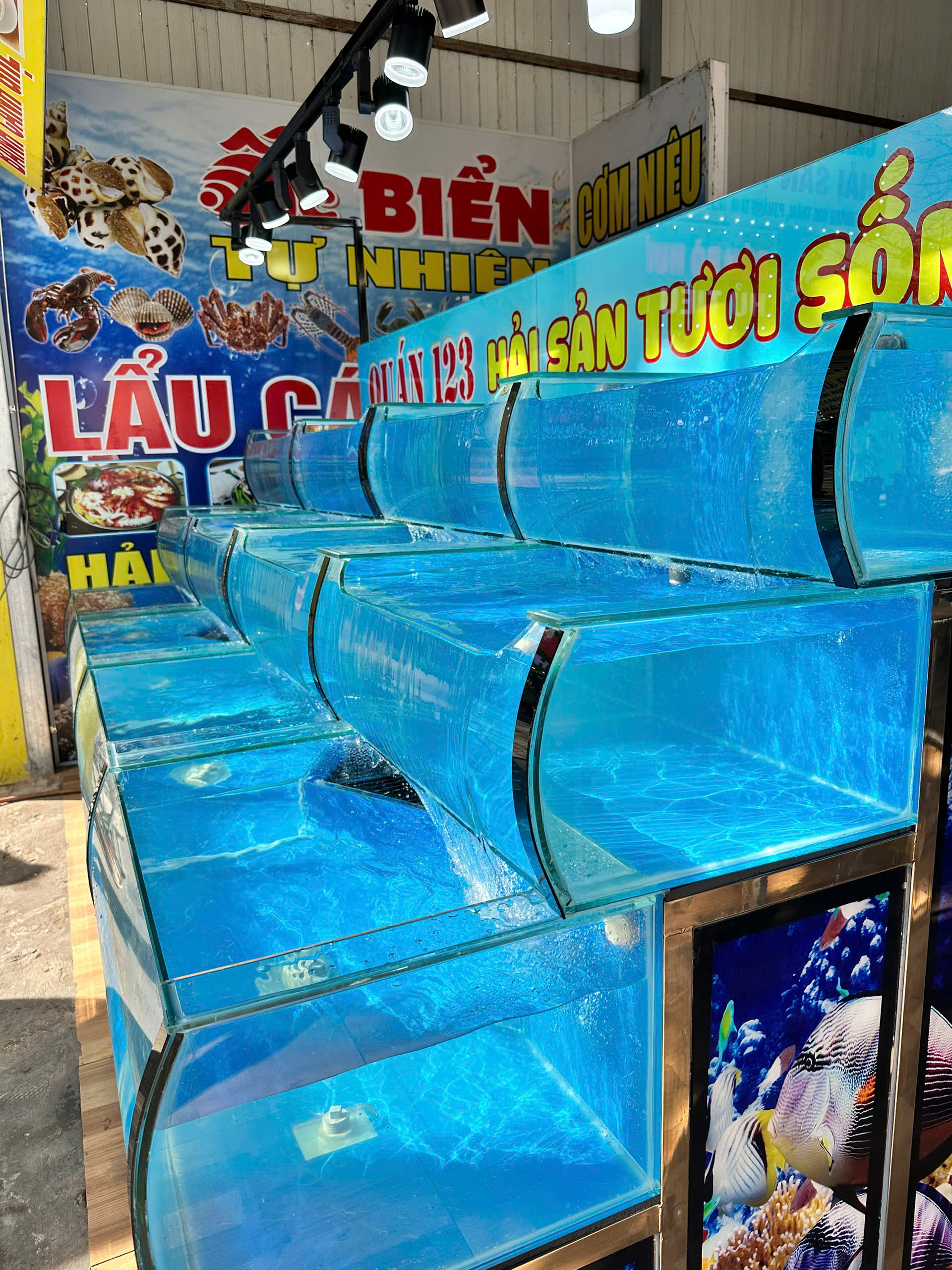 ở đâu làm hồ hải sản giá rẻ