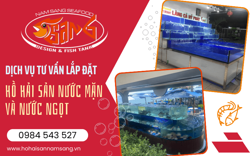 tư vấn lắp đặt hồ hải sản