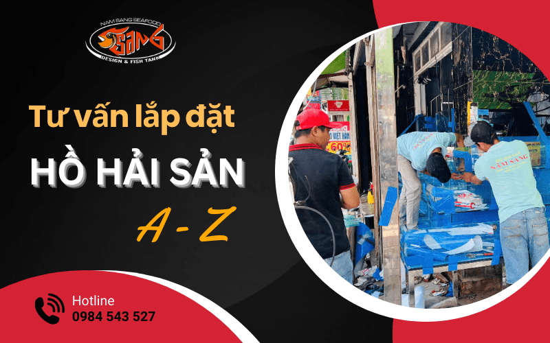 tư vấn lắp đặt hồ hải sản