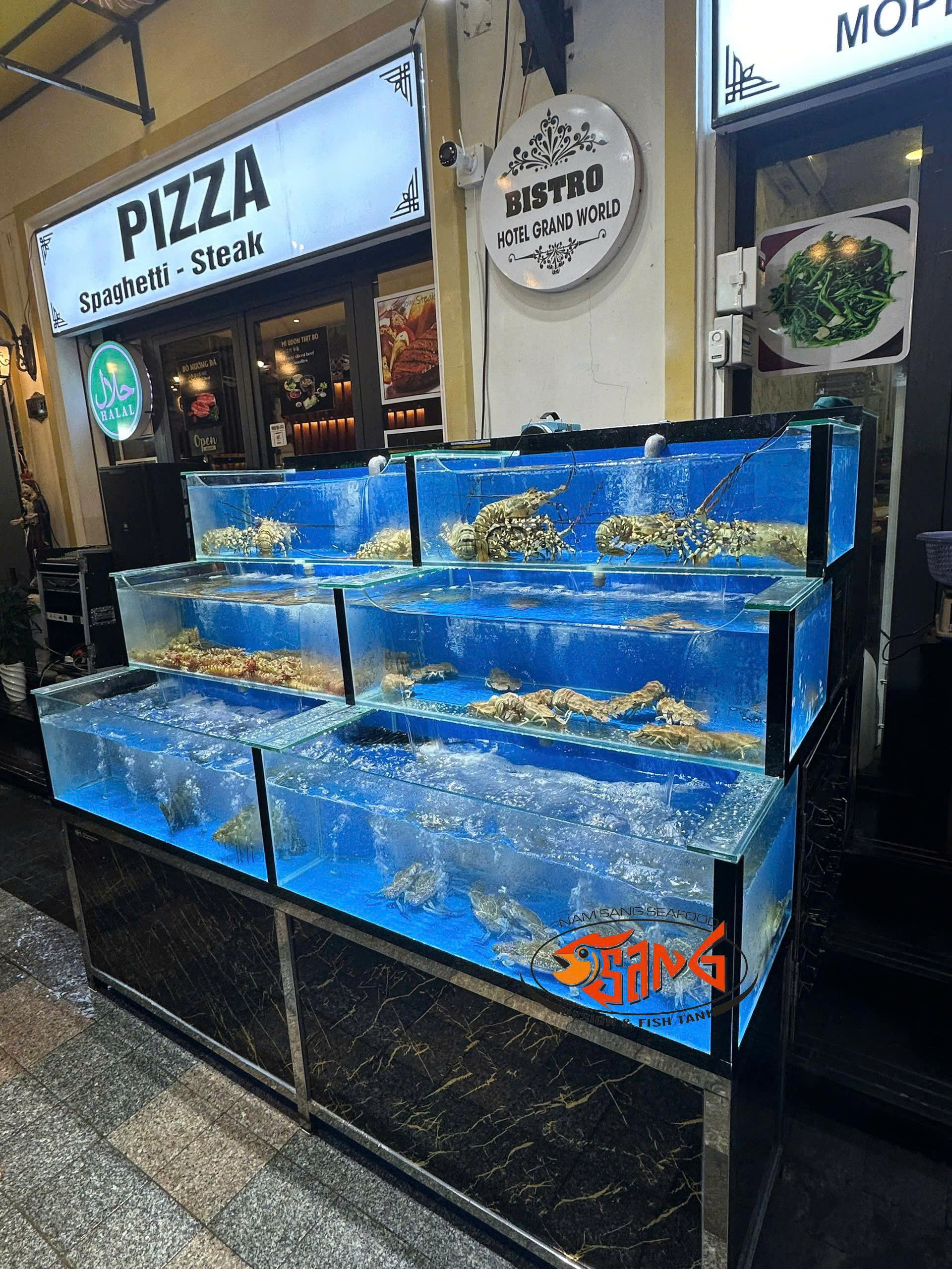 thi công hồ hải sản tại phú quốc